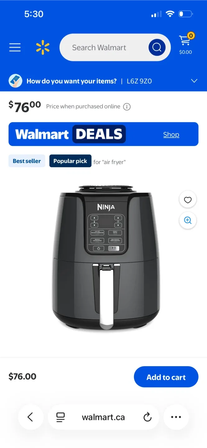 Ninja Air Fryer thumbnail