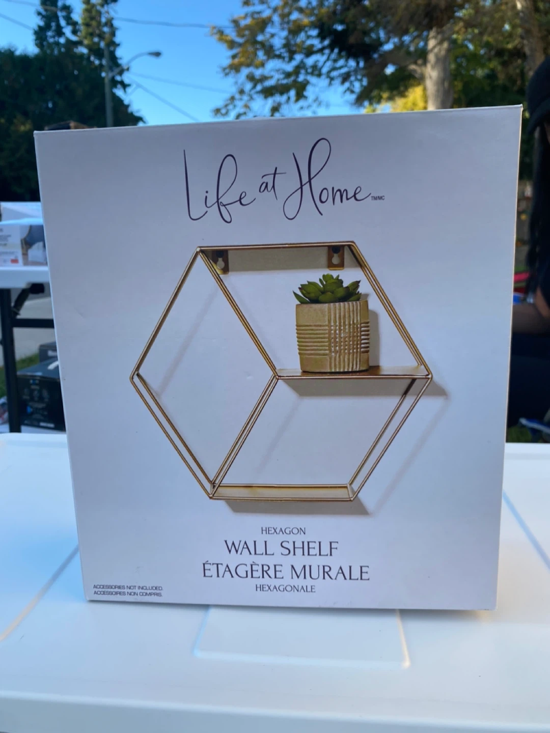 Life at Home Hexagon Wall Shelf - New in Box!