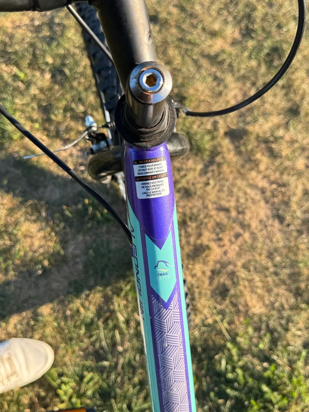 Movelo Algonquin Purple Mountain Bike image indicator(4)