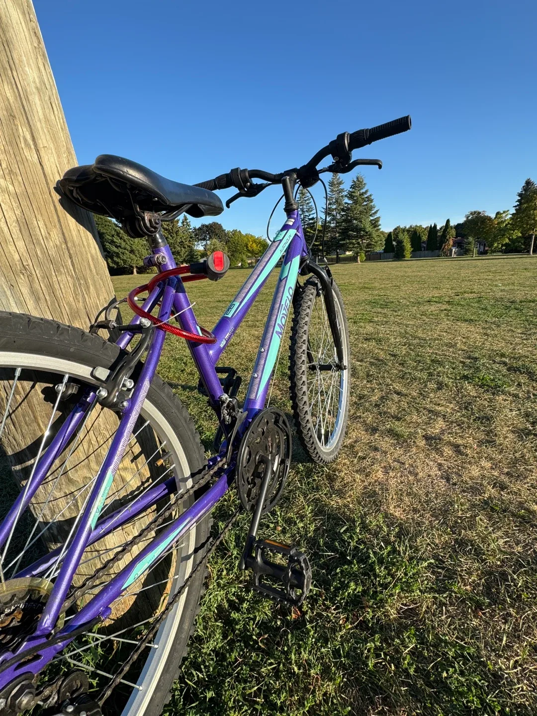 Movelo Algonquin Purple Mountain Bike image indicator(6)