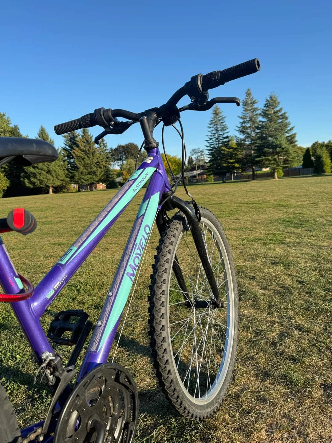 Movelo Algonquin Purple Mountain Bike image indicator(2)