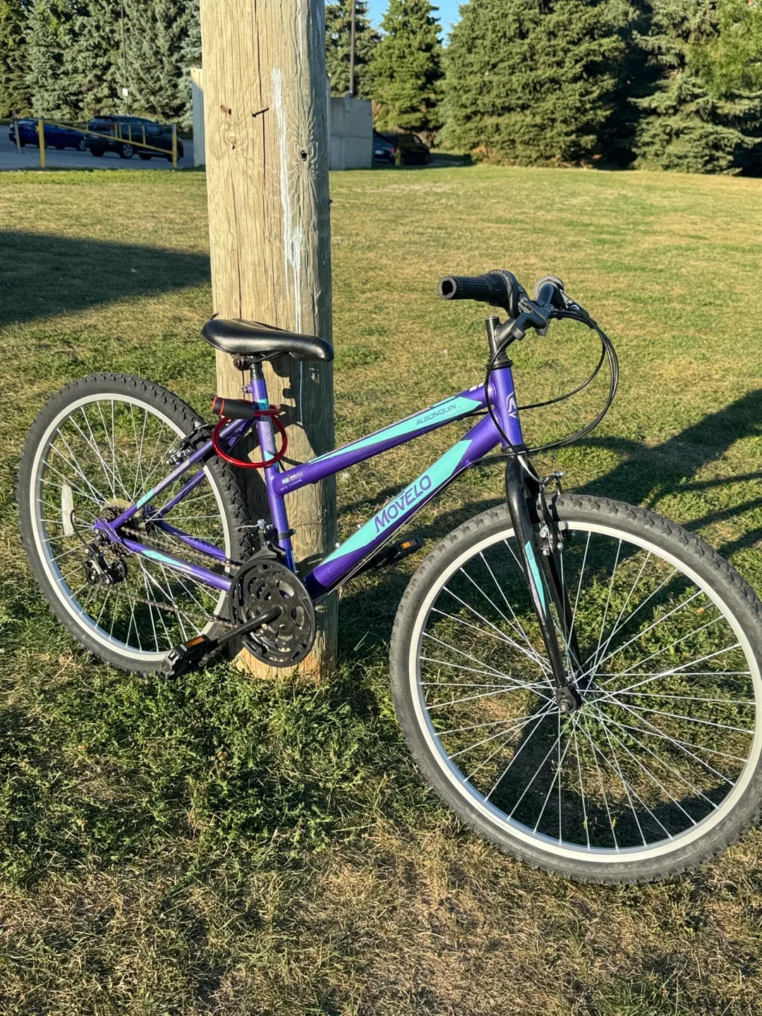 Movelo Algonquin Purple Mountain Bike image indicator(8)