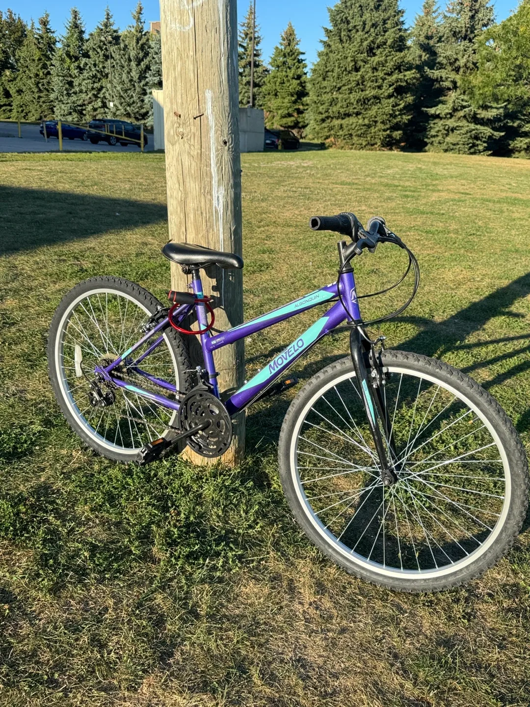 Movelo Algonquin Purple Mountain Bike image indicator(9)