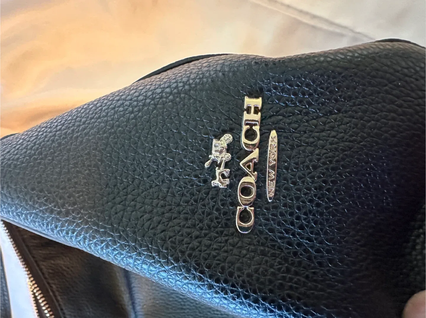 Coach Black Leather Crossbody Bag image indicator(9)