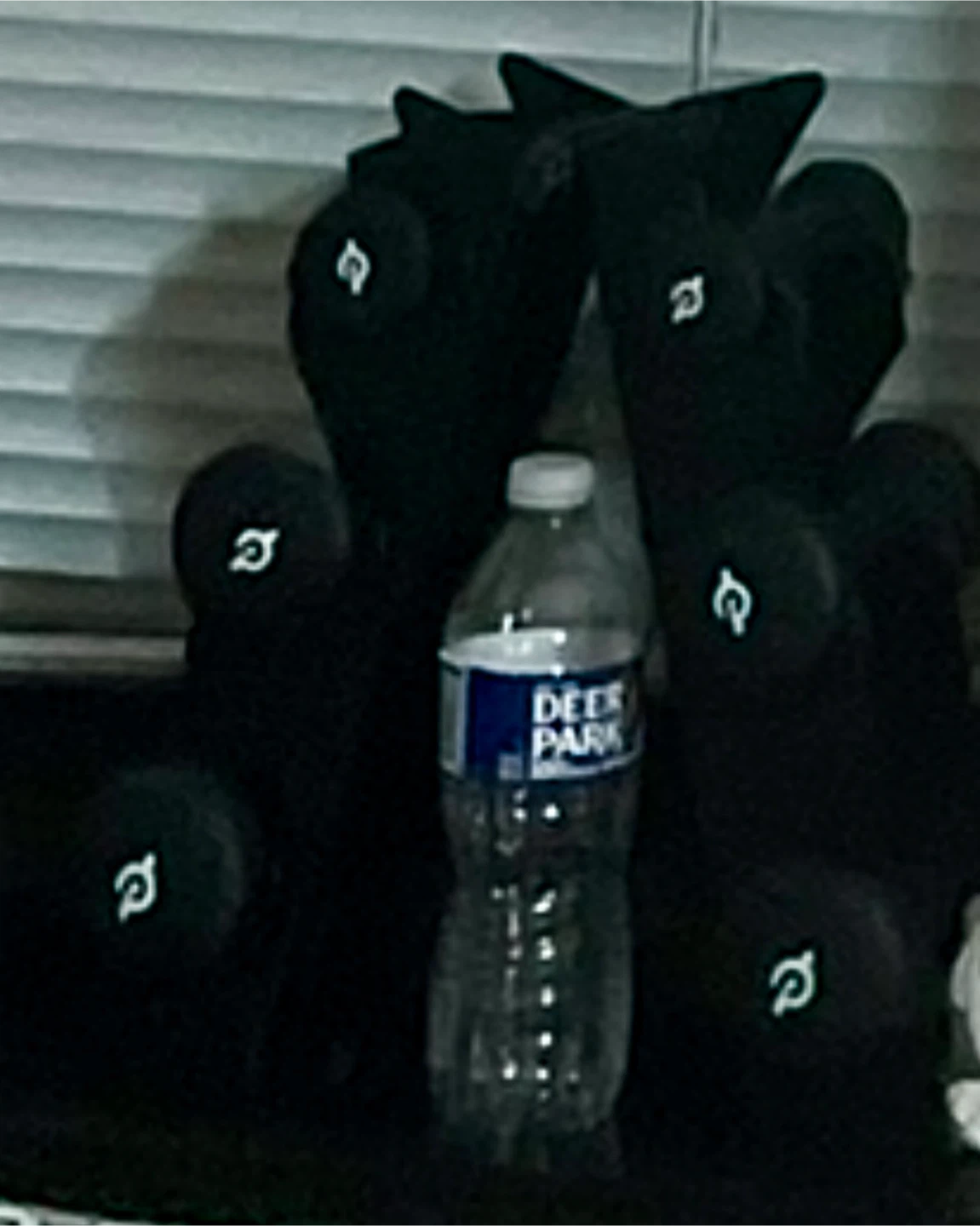 Home Gym: Peloton Dumbbells & Weight Racks - photo 2