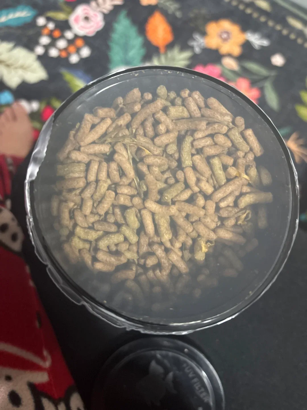 Tropical Reptiles Herbivore Soft Line Food image indicator(2)