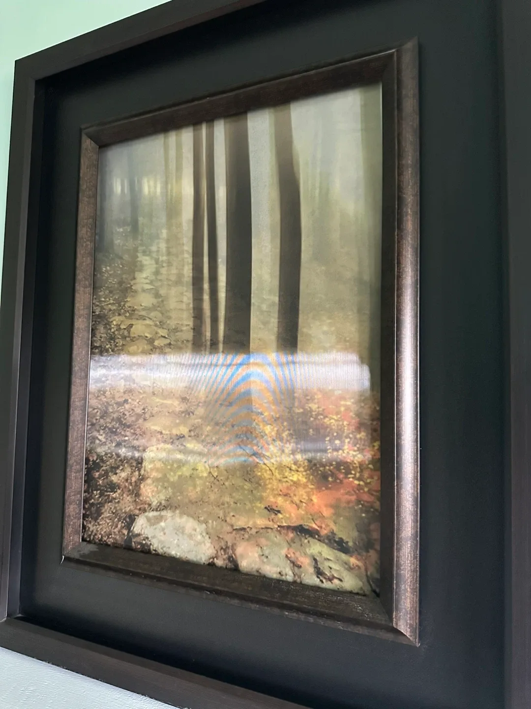 Picture in the woods image indicator(2)