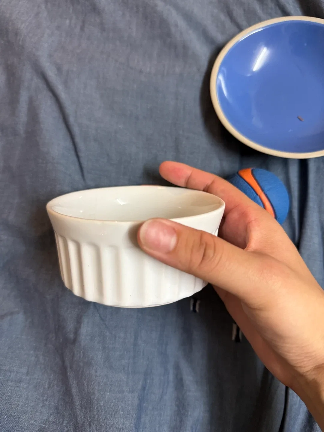 pet bowls and ball image indicator(2)