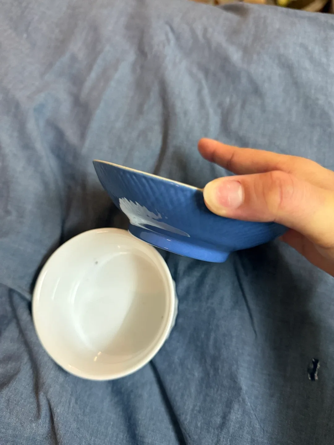 pet bowls and ball image indicator(3)