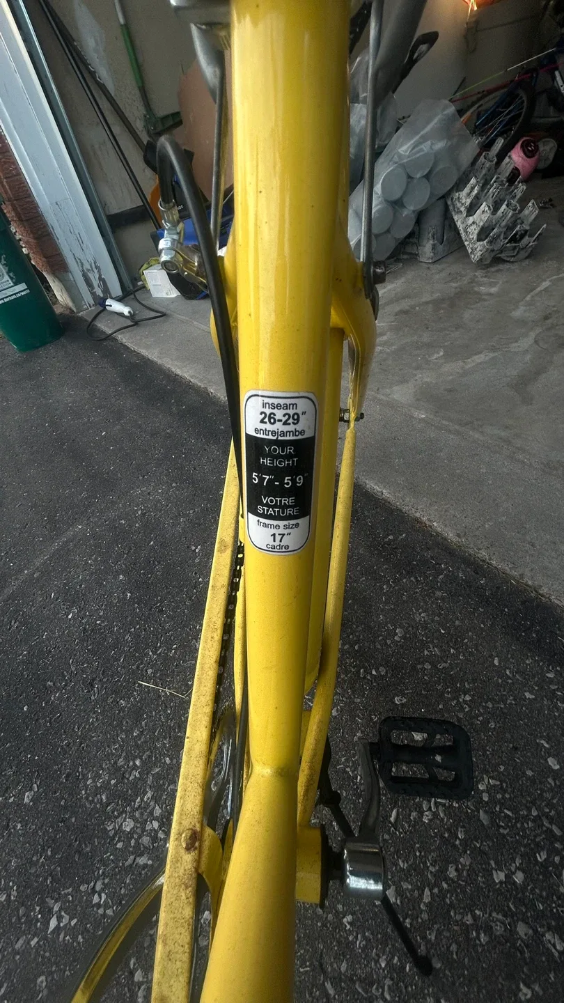 CCM Yellow Cruiser Bike image indicator(7)