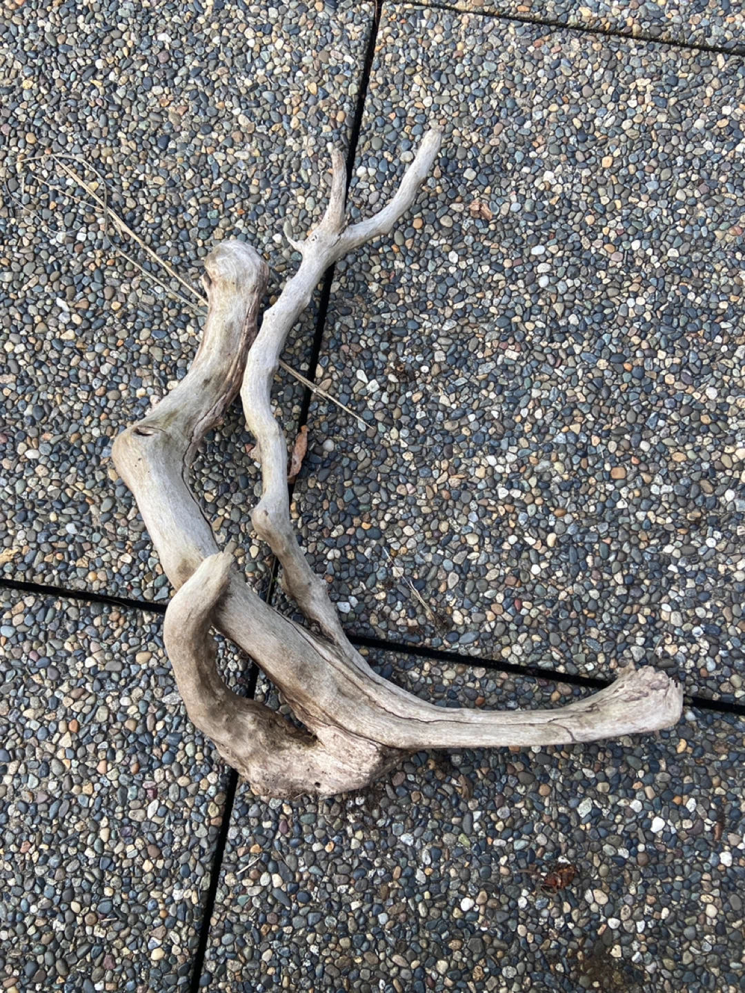 Drift wood for fish tanks
