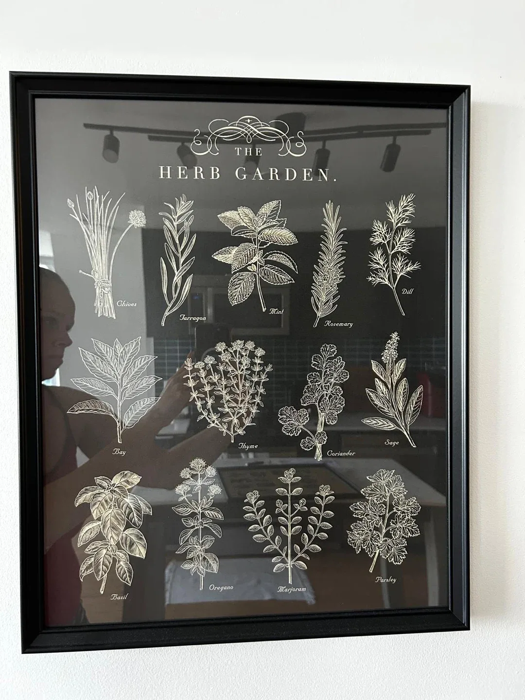 Frames image indicator(5)