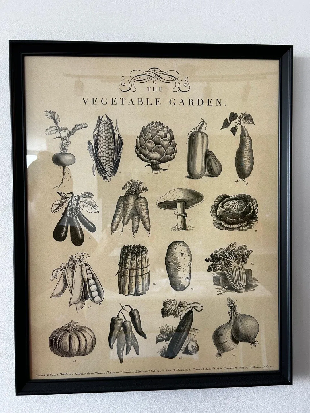 Frames image indicator(4)