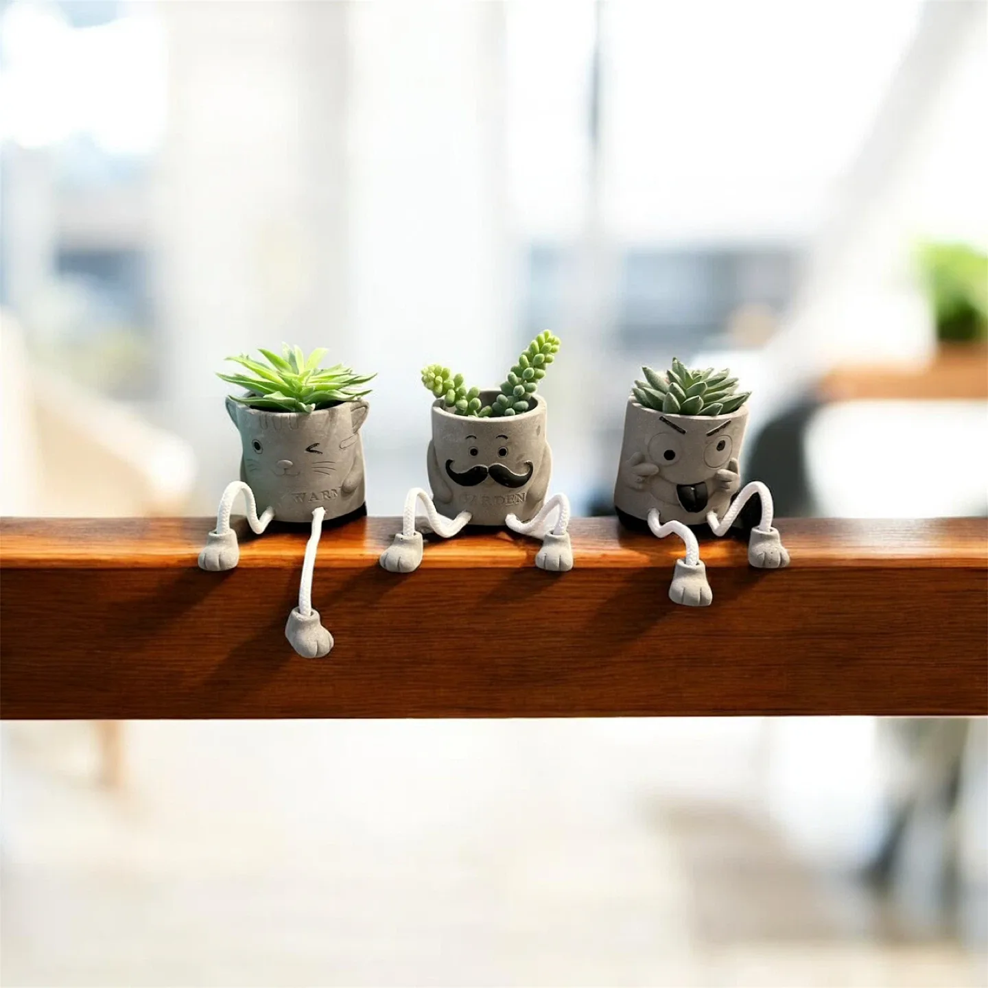 Cute Cartoon Succulent Pots (Set of 3) image indicator(2)