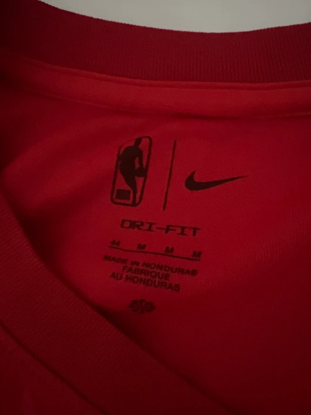 Nike Raptors Dickie #1 Jersey - Size 44 (M) image indicator(4)