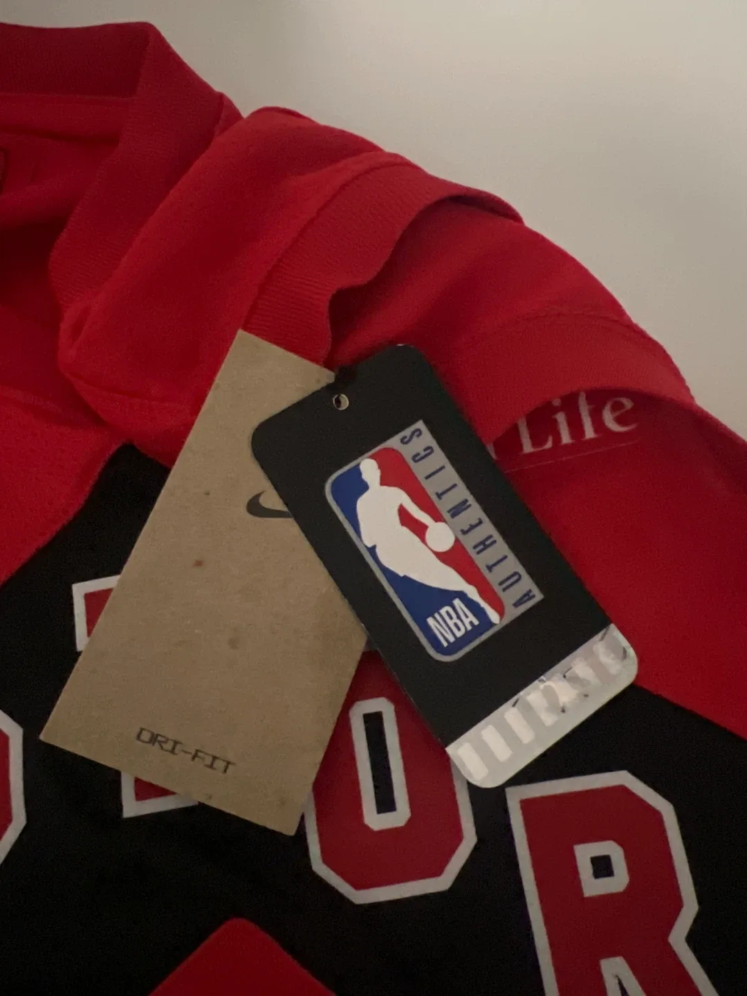 Nike Raptors Dickie #1 Jersey - Size 44 (M) image indicator(5)