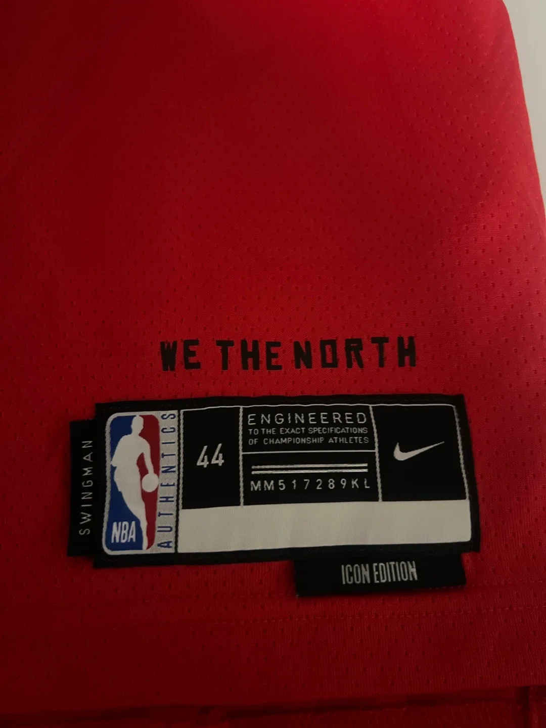 Nike Raptors Dickie #1 Jersey - Size 44 (M) image indicator(3)