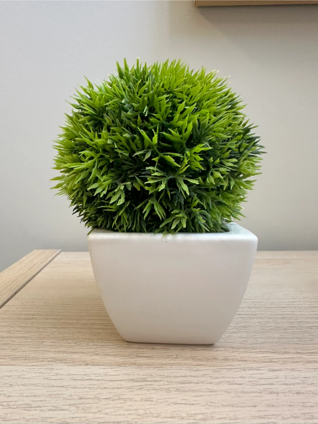 Artificial Green Plant in White Pot