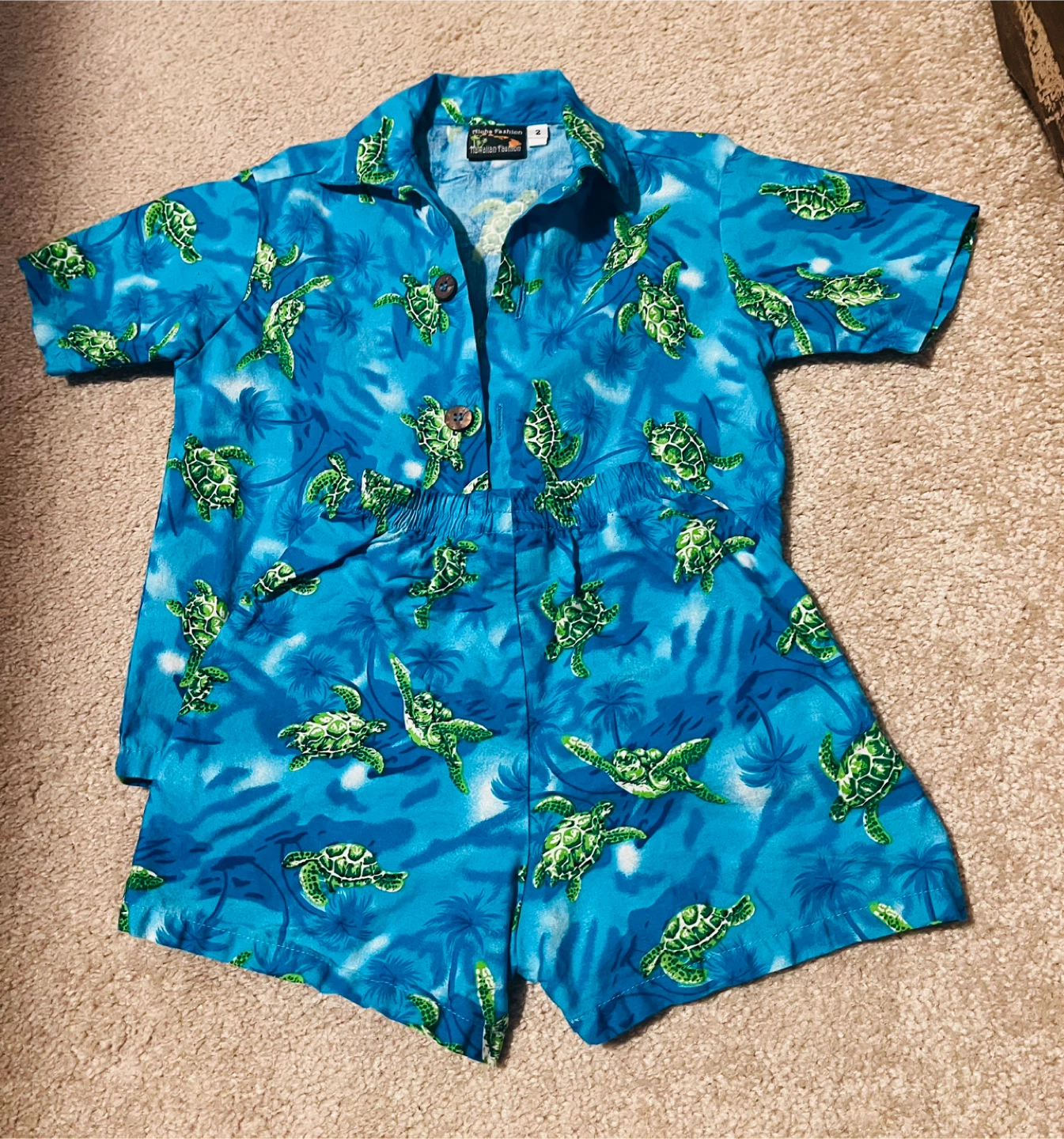 2T Boy Cabana Set - Blue with Green Turtles