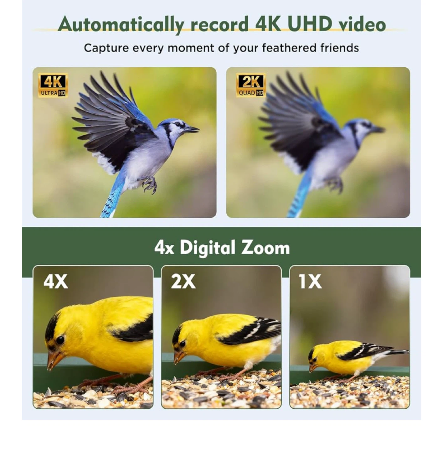 hibird Solar Bird Feeder Camera - photo 3
