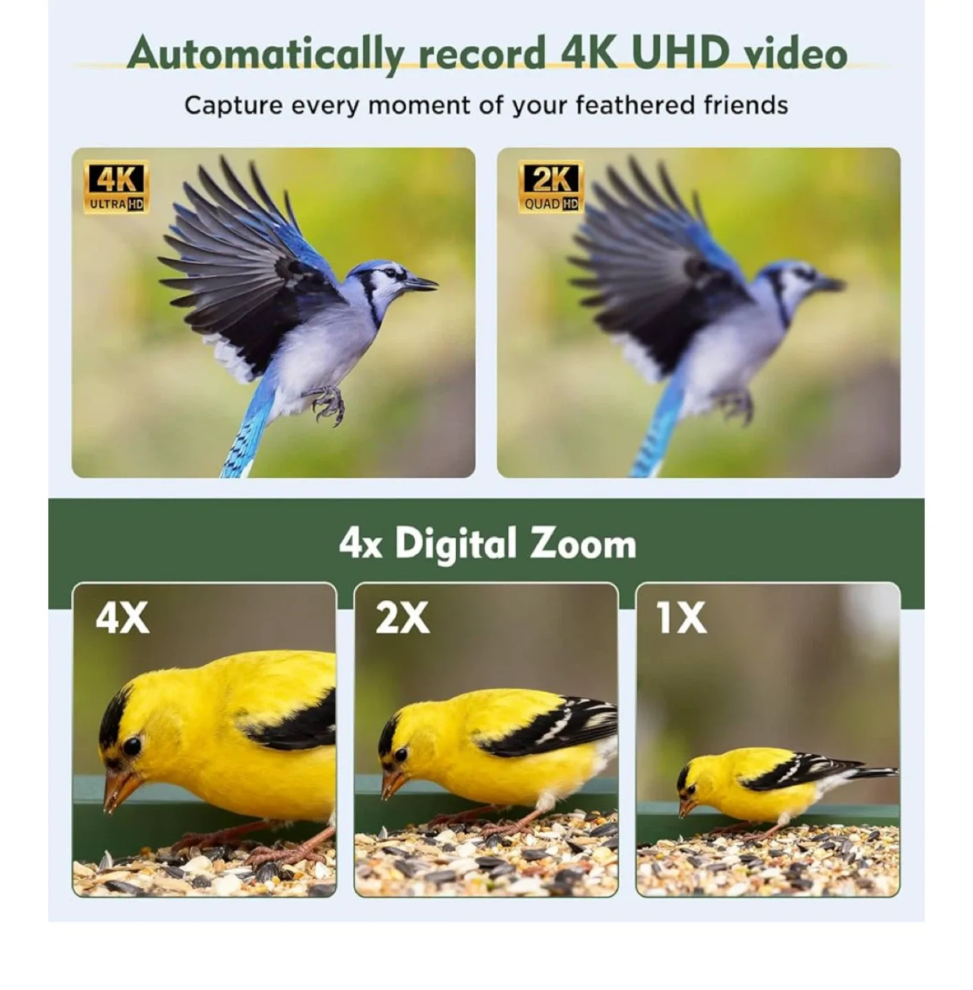 hibird Solar Bird Feeder Camera image indicator(3)