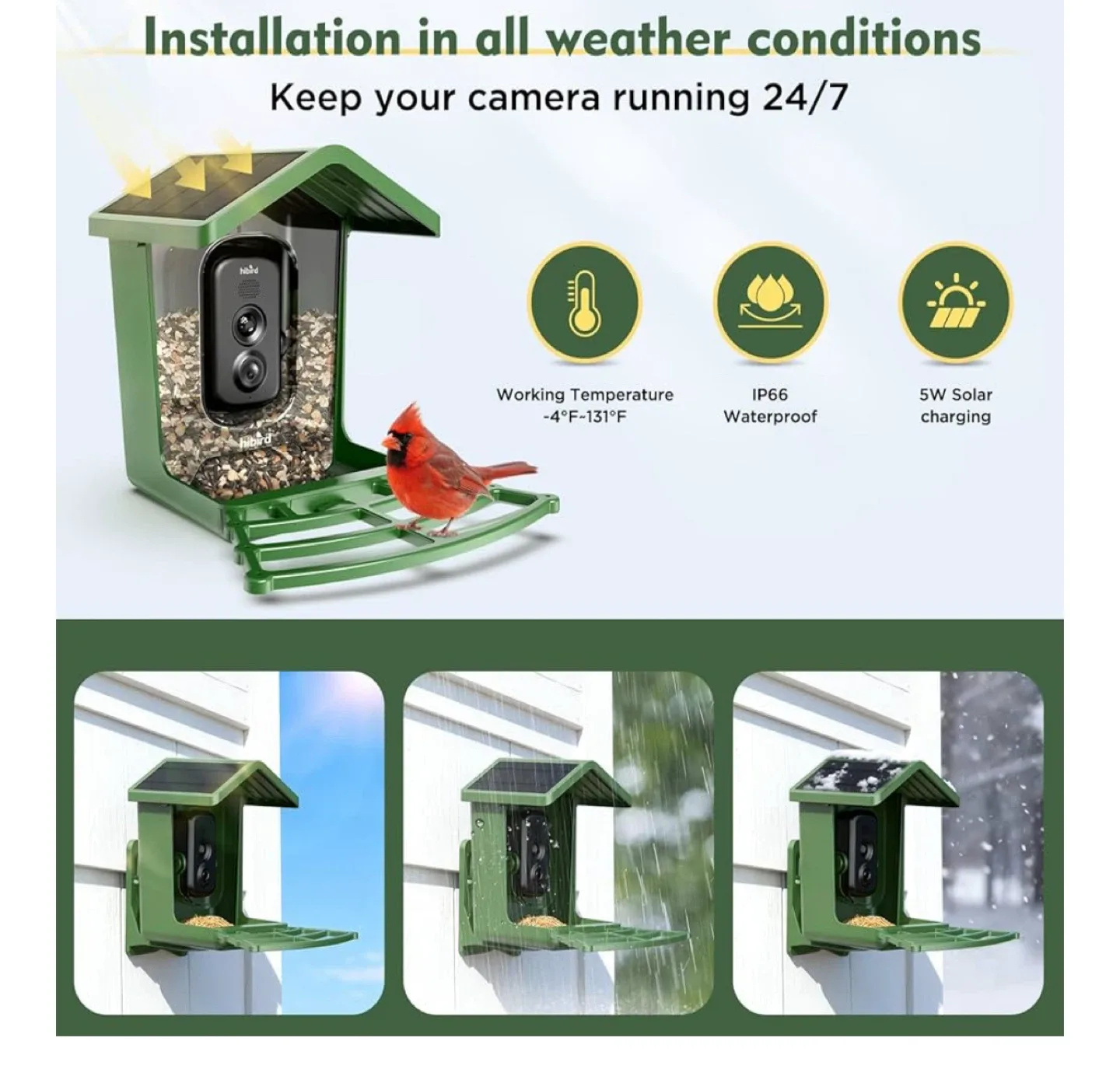 hibird Solar Bird Feeder Camera image indicator(4)