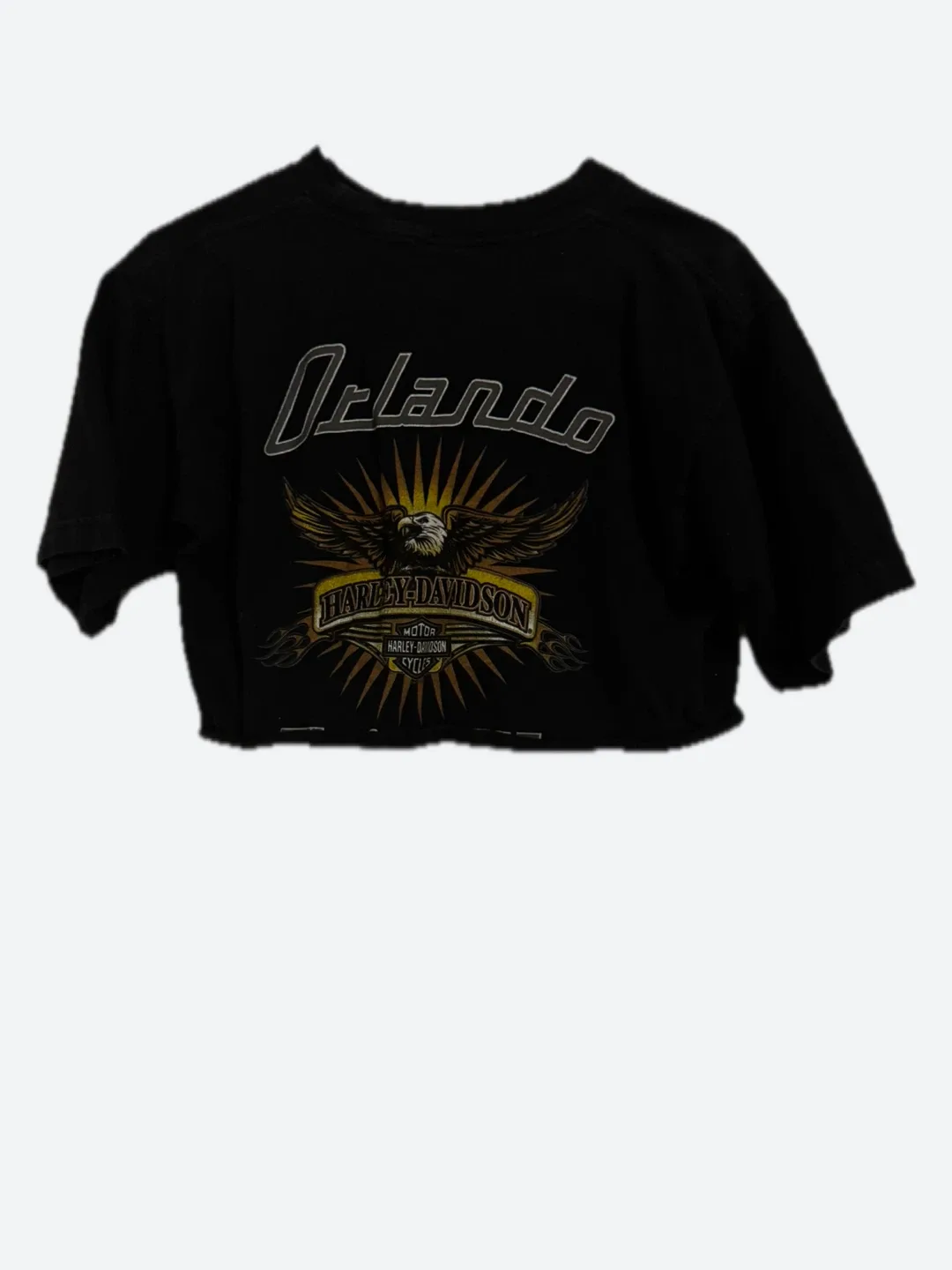 Harley-Davidson Cropped top image indicator(2)