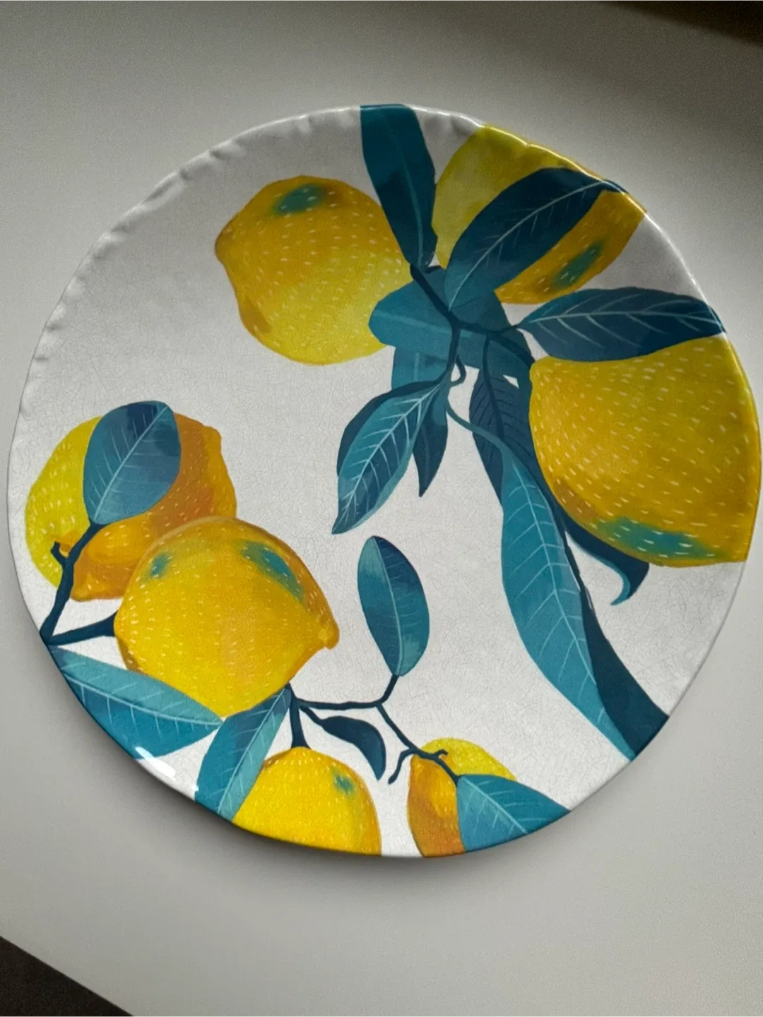 Life at Home Lemon Melamine Dinner Plate image indicator(6)