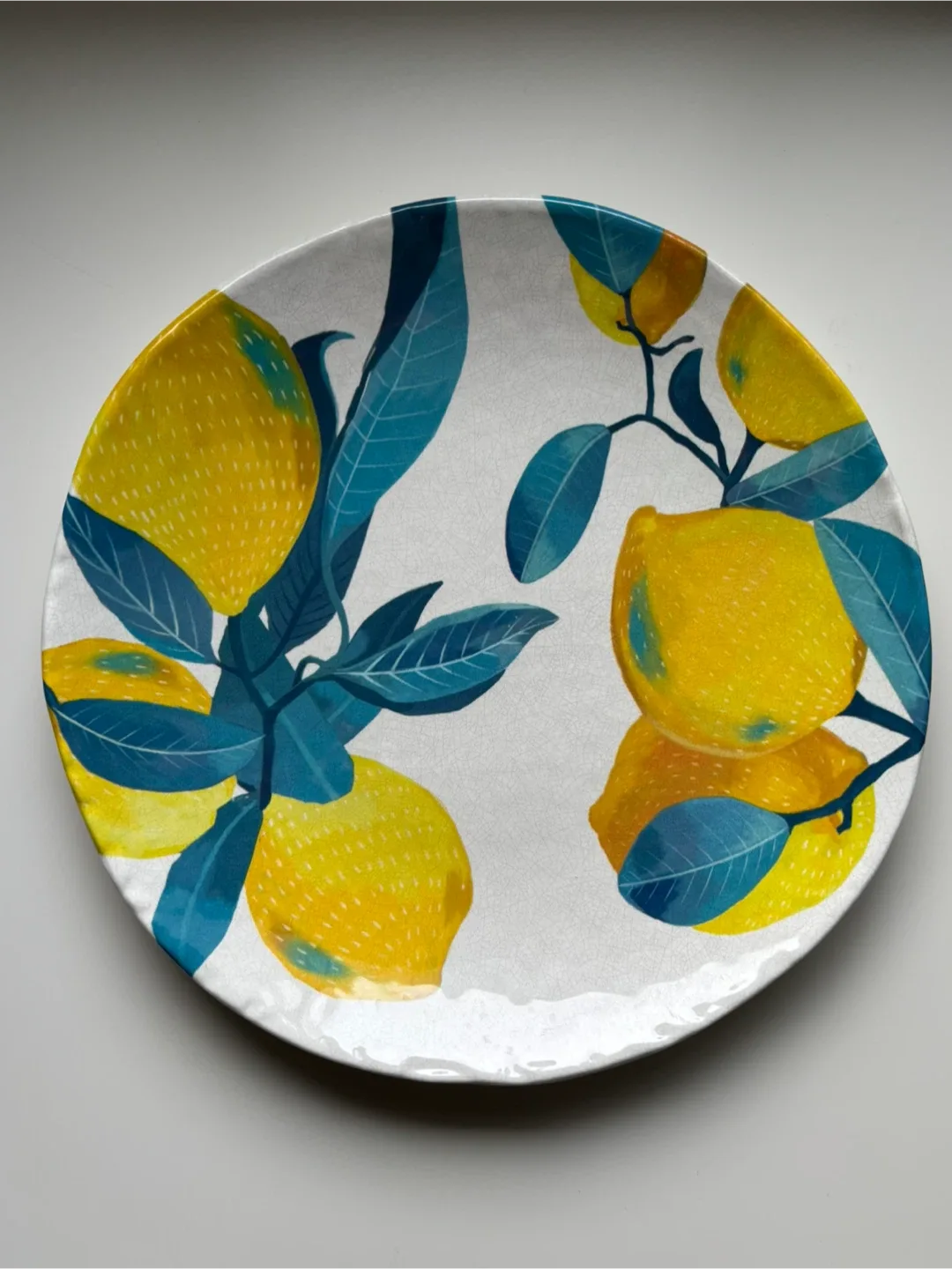 Life at Home Lemon Melamine Dinner Plate thumbnail