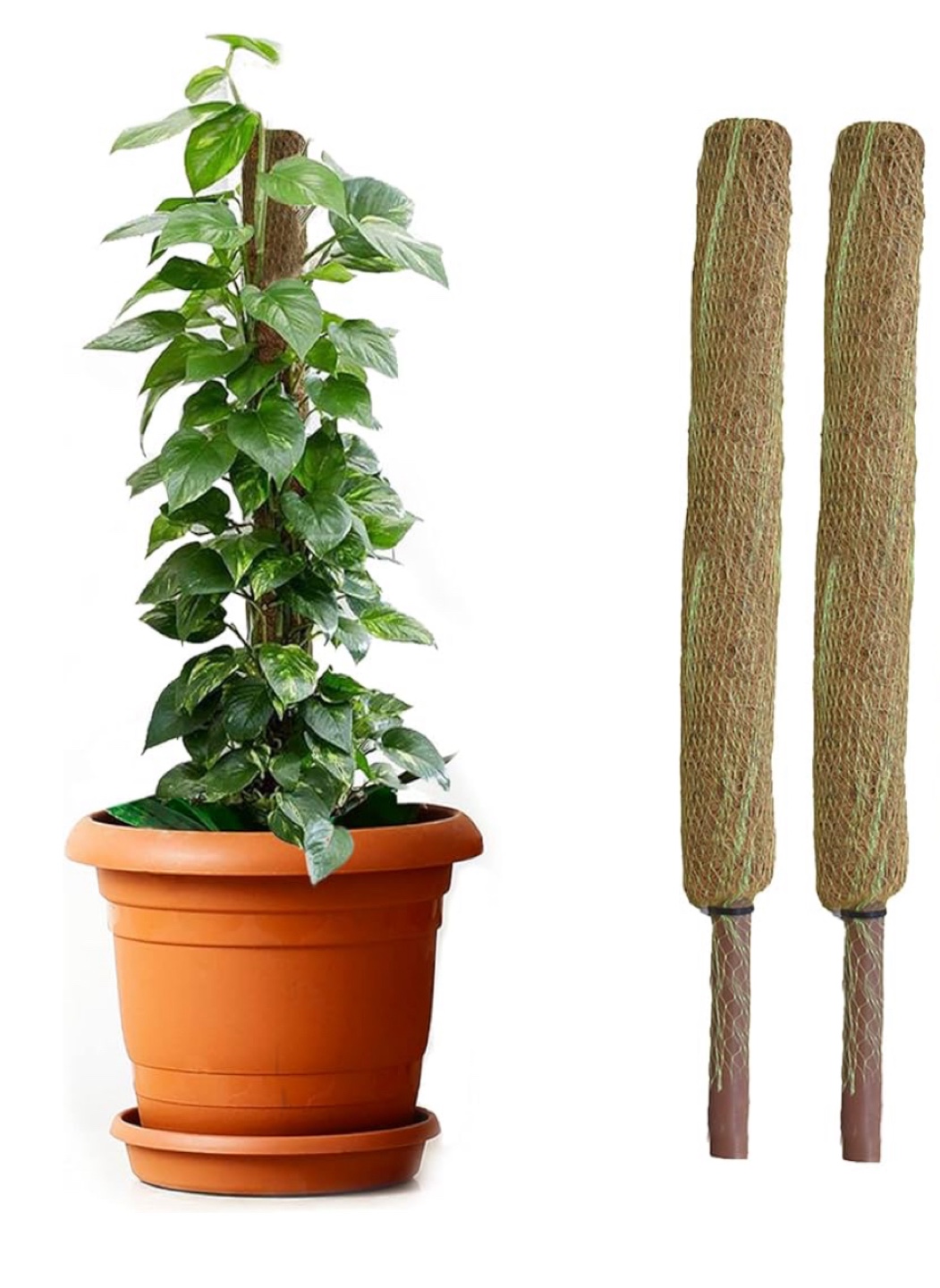🥕2 x Coco Coir Moss Pole for Climbing Plants support