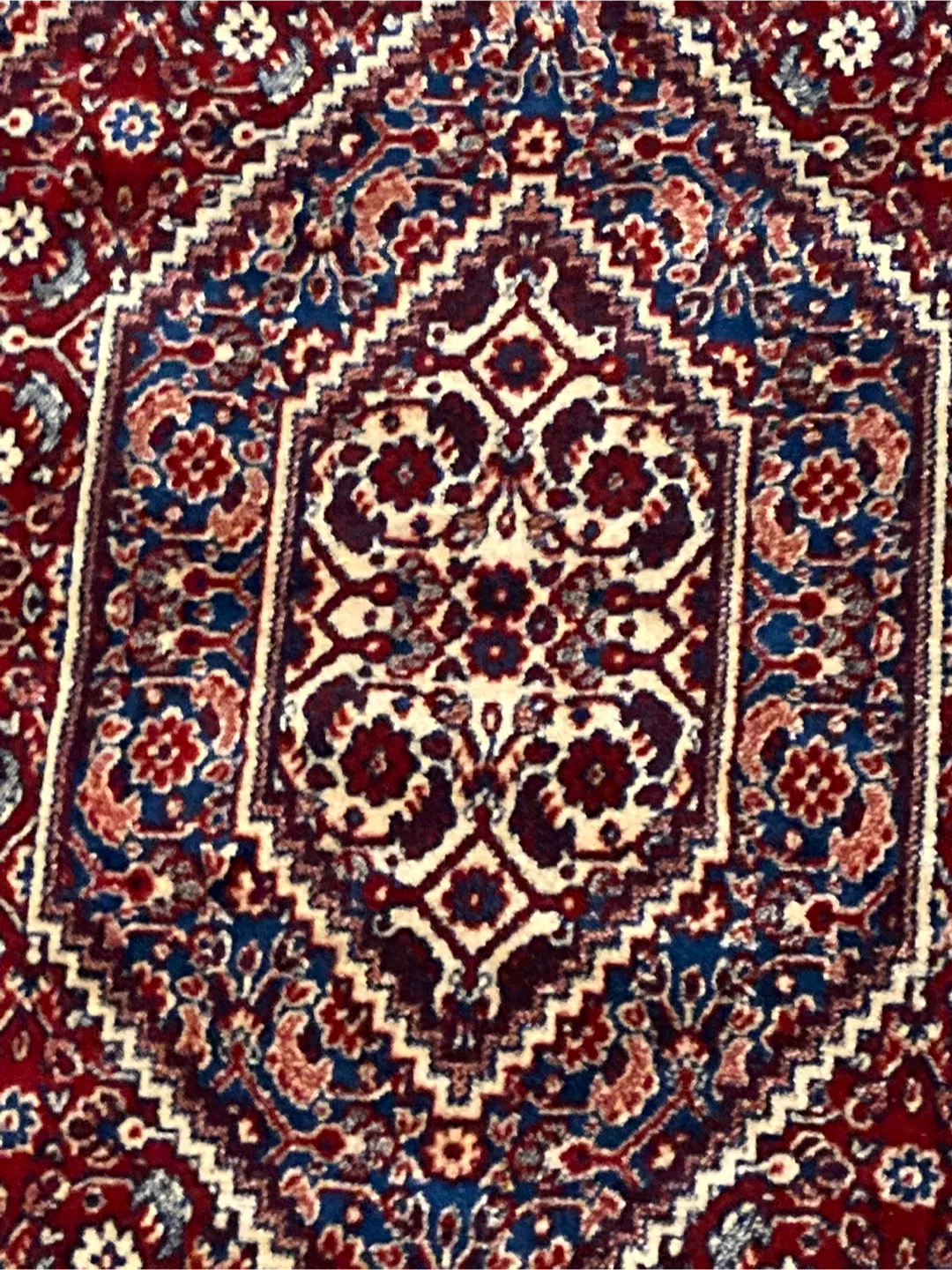 Red & Blue Patterned Area Rug (42" x 27") image indicator(2)