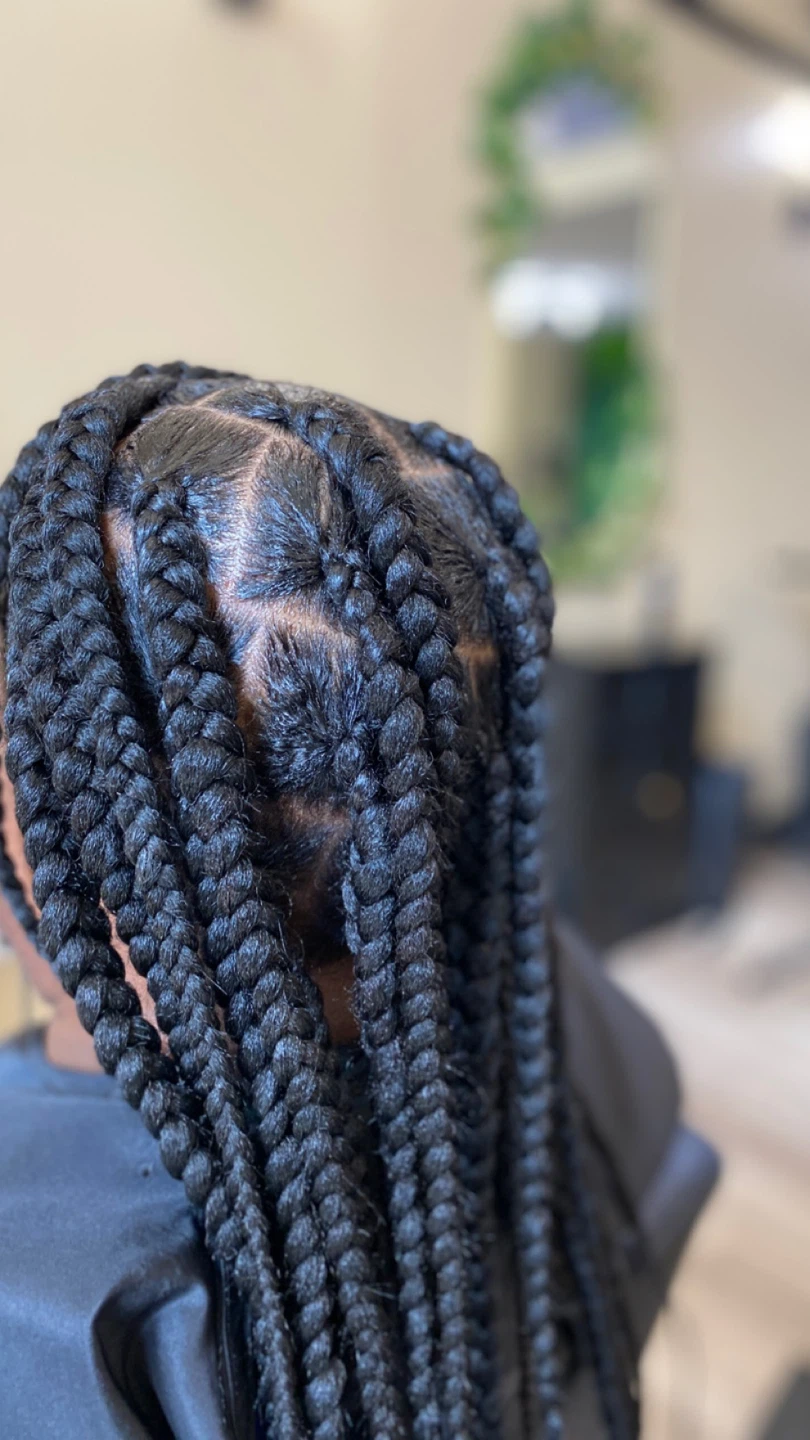 Braids - photo 5