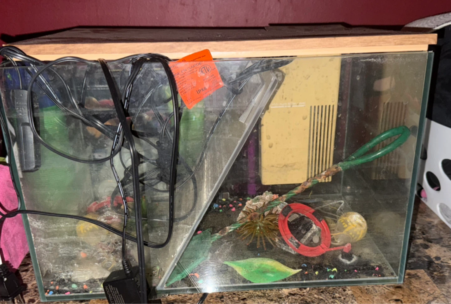 Used Fish Tank with Accessories