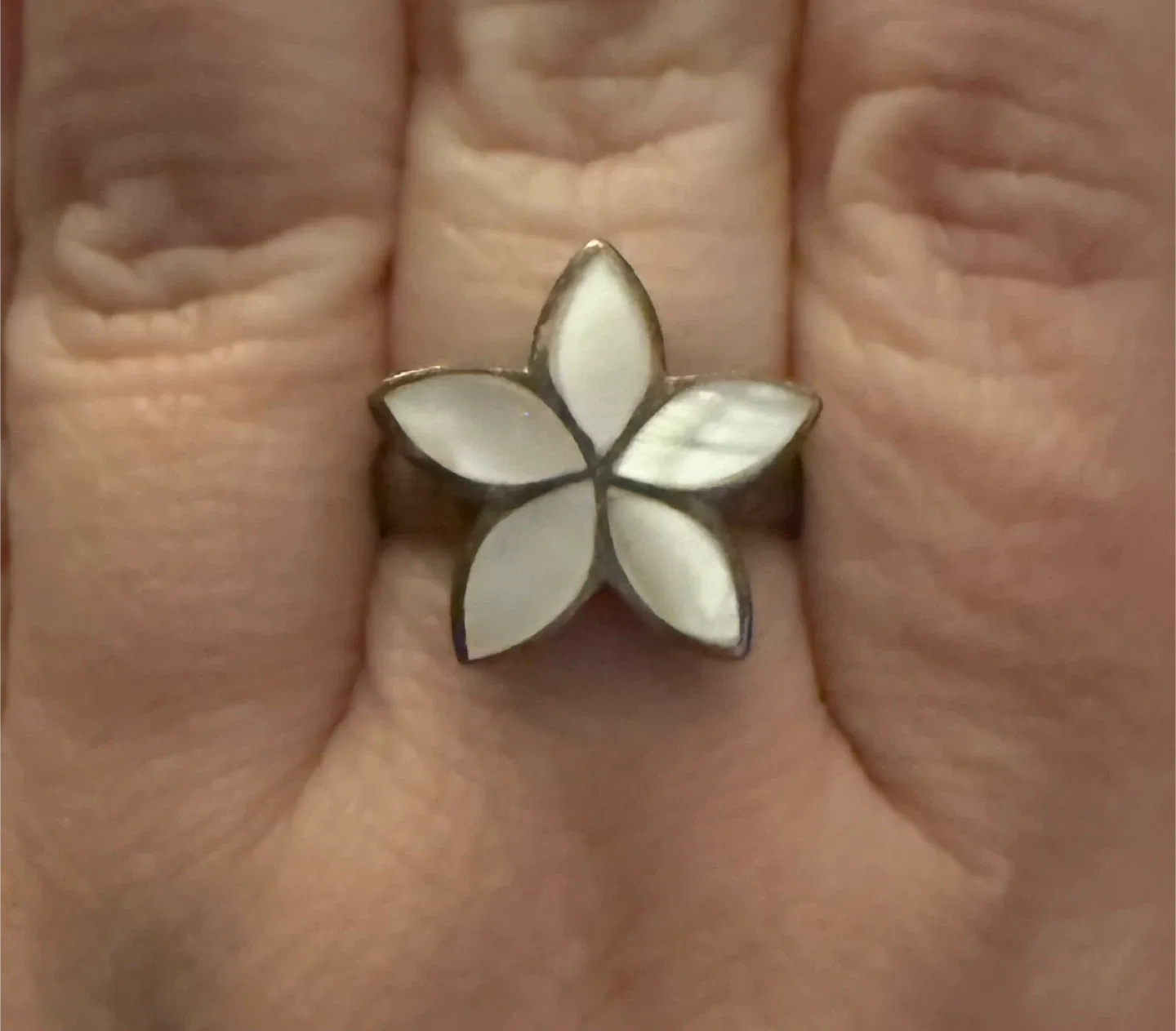 Frangipani Flower Necklace and Ring Set image indicator(5)