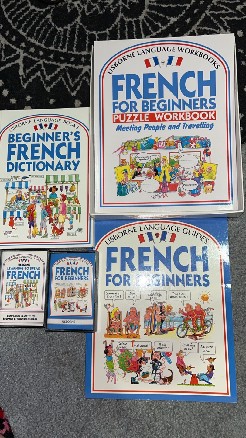 French for beginners learning kit