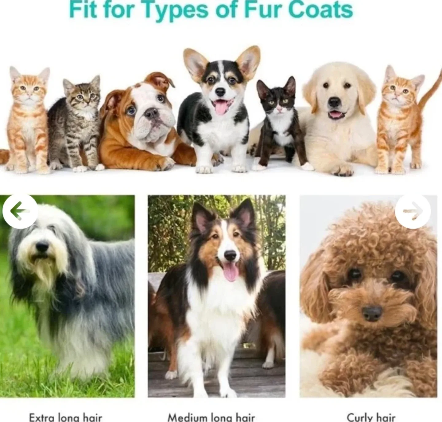 Neakasa P1 Pro Pet Grooming Kit & Vacuum image indicator(4)