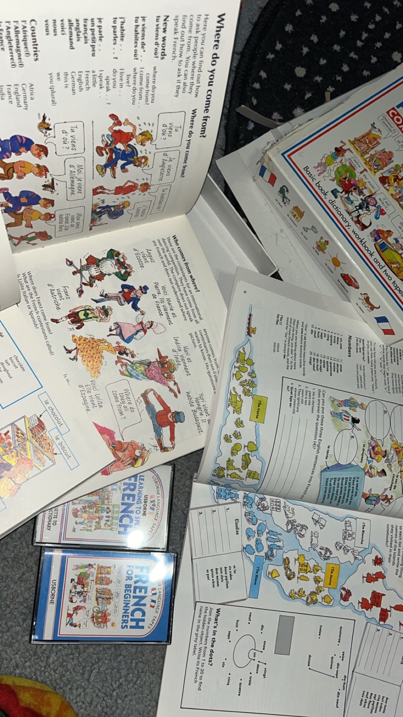 French for beginners learning kit - photo 3
