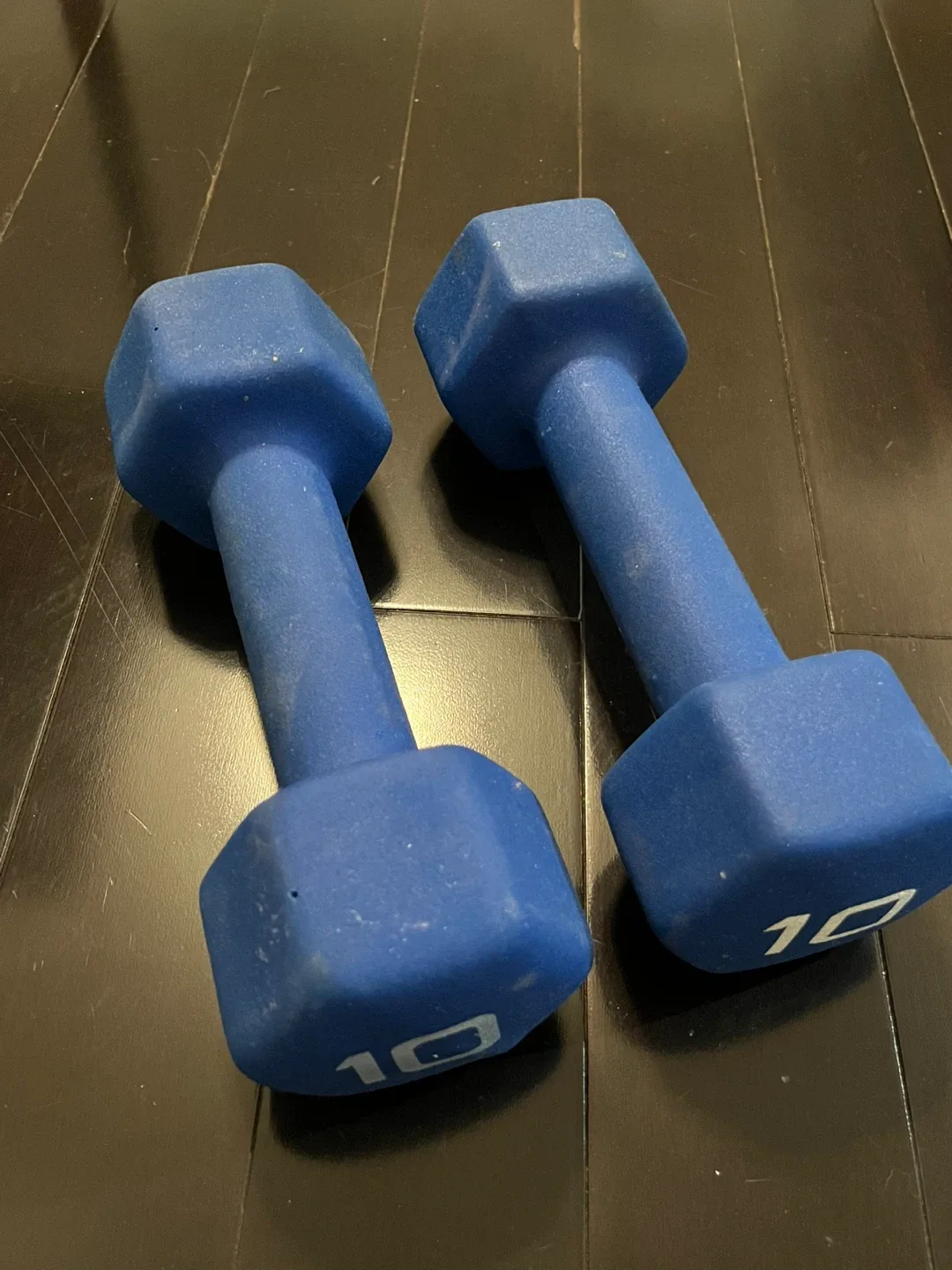 Pair of 10 lb Dumbbells - Blue image indicator(2)