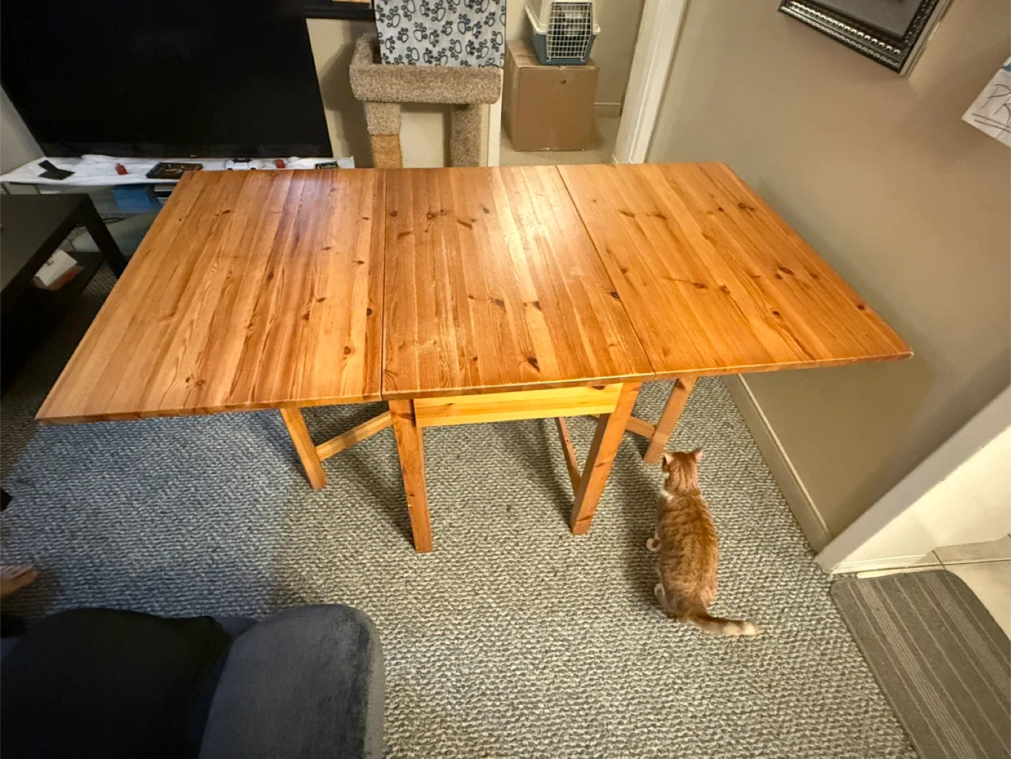 Wooden extendable Dining Table image indicator(4)