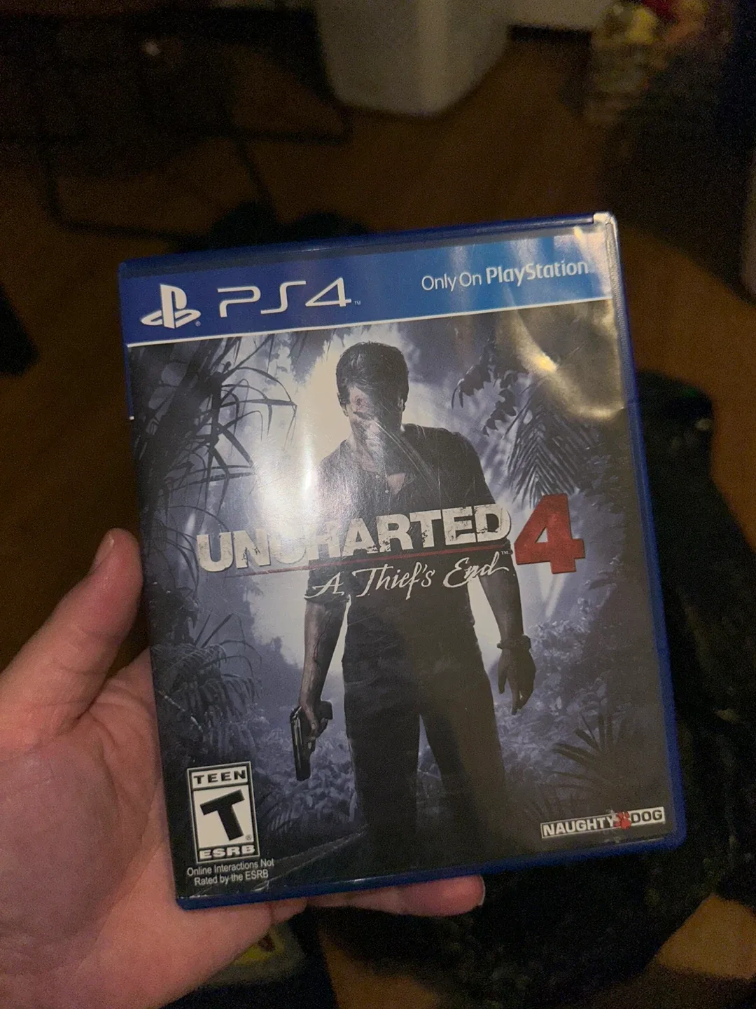 Uncharted 4: A Thief's End - PS4 Game image indicator(2)