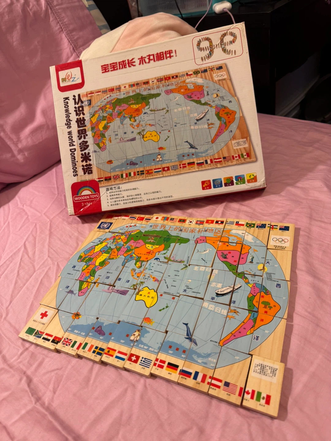 Wooden World Map Dominoes Puzzle - photo 2