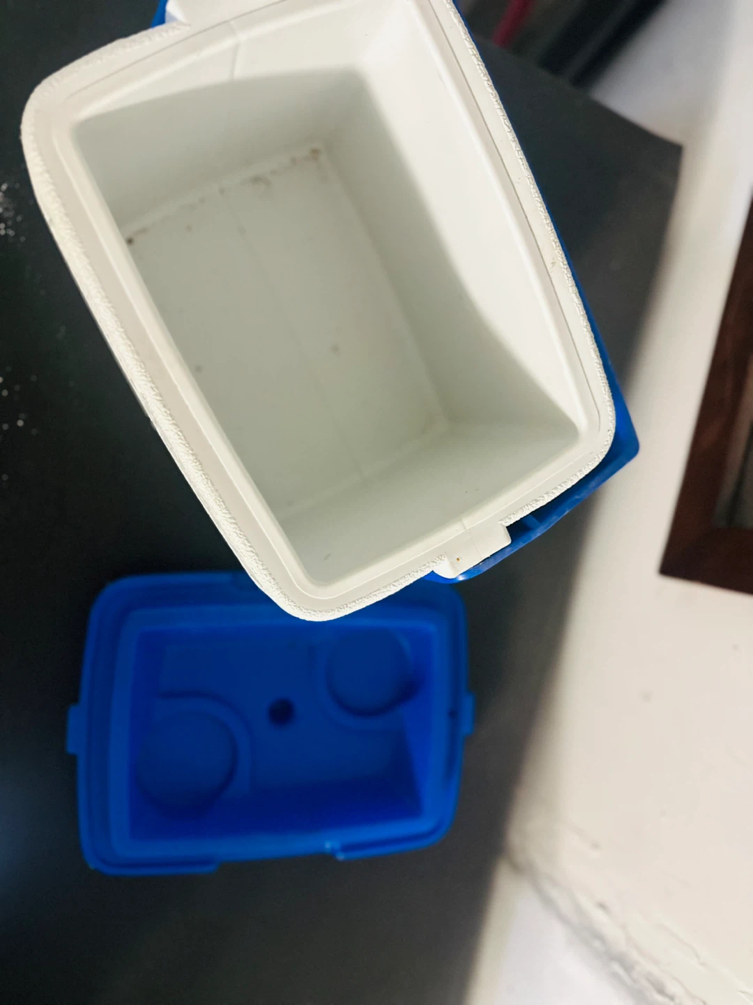 Coleman Personal Cooler White & Blue - photo 2