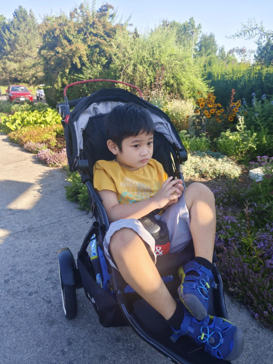 Phil & Teds Sport Stroller - Black - photo 3
