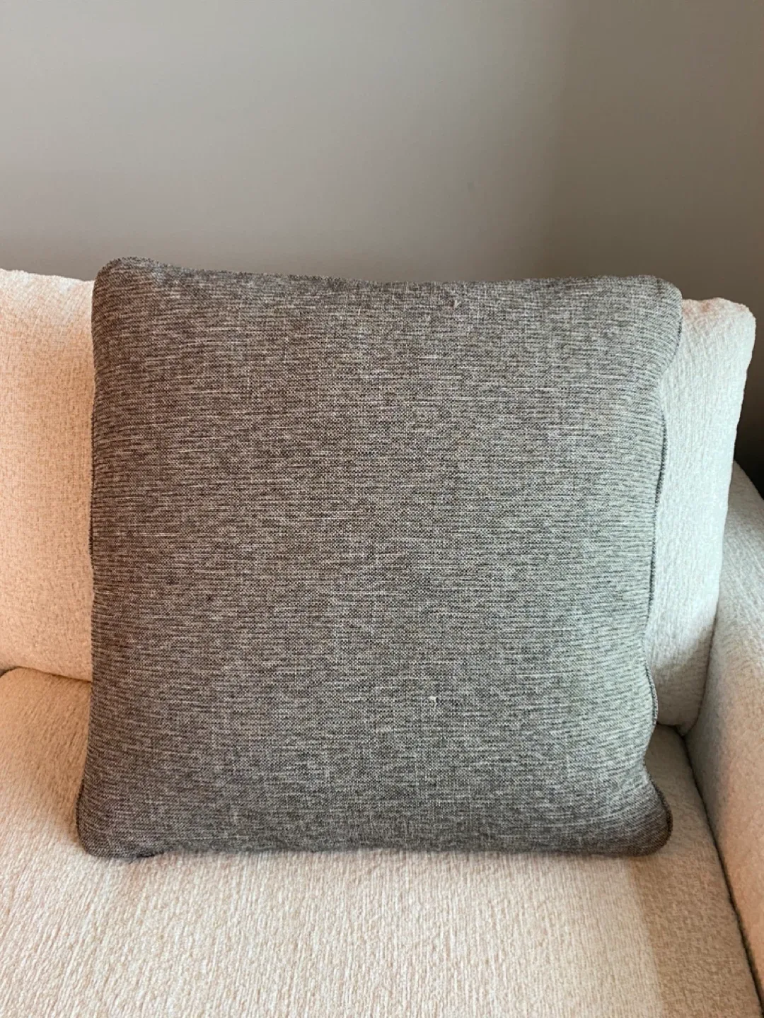 Large Down Filled Throw Pillows image indicator(6)