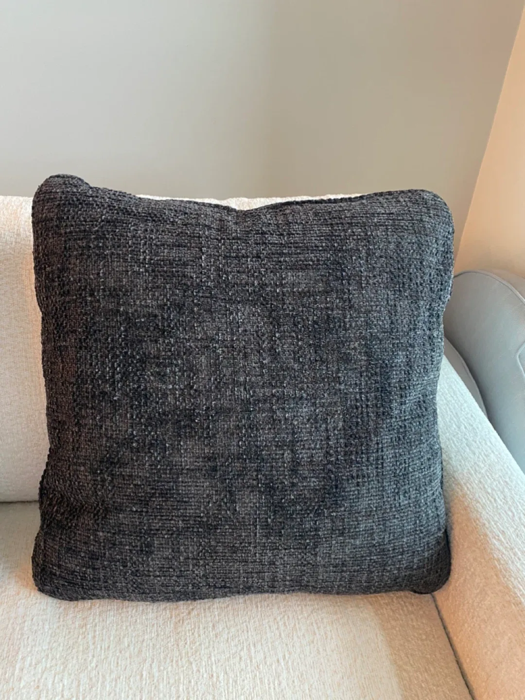 Large Down Filled Throw Pillows image indicator(3)