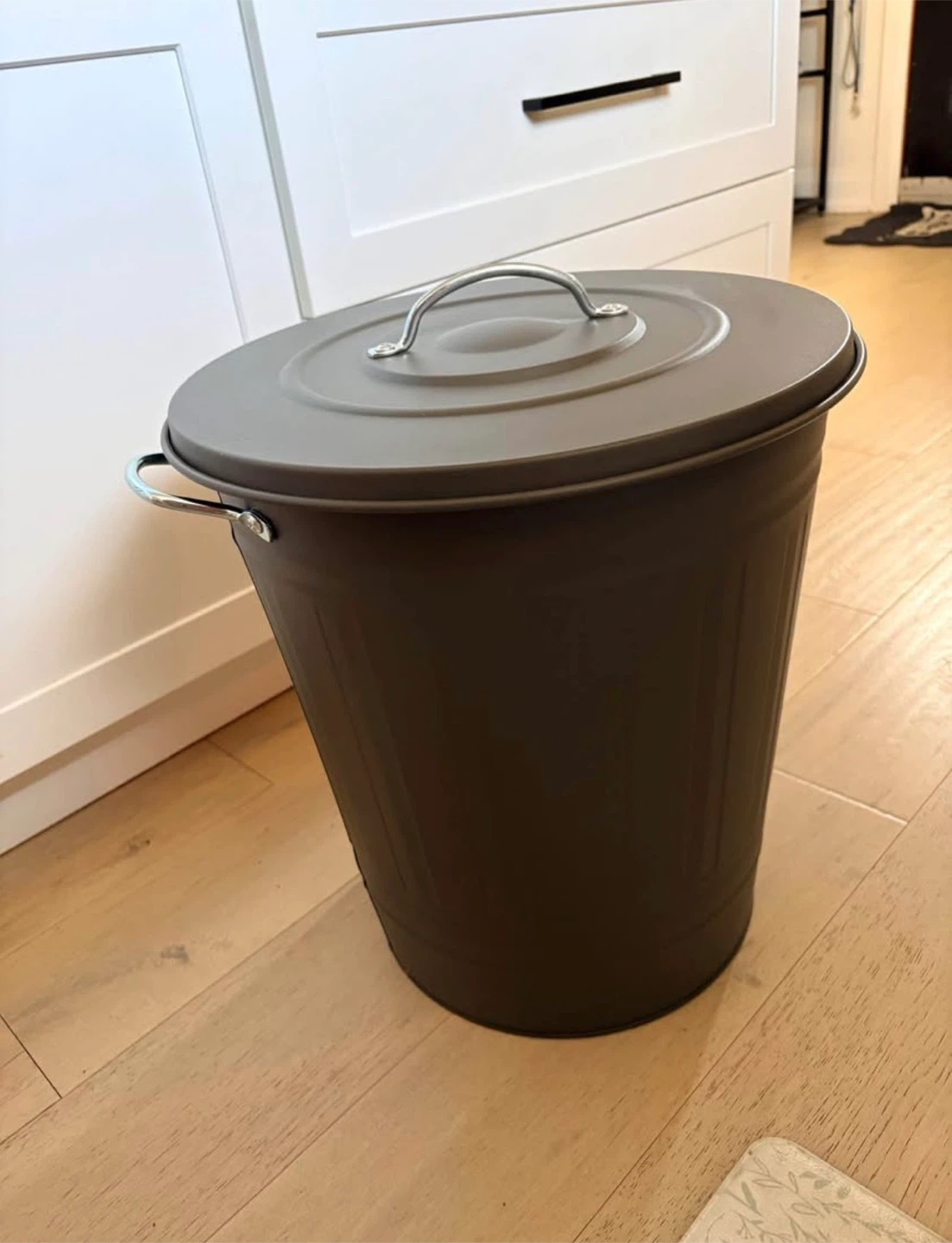 Grey Metal Trash Can with Lid