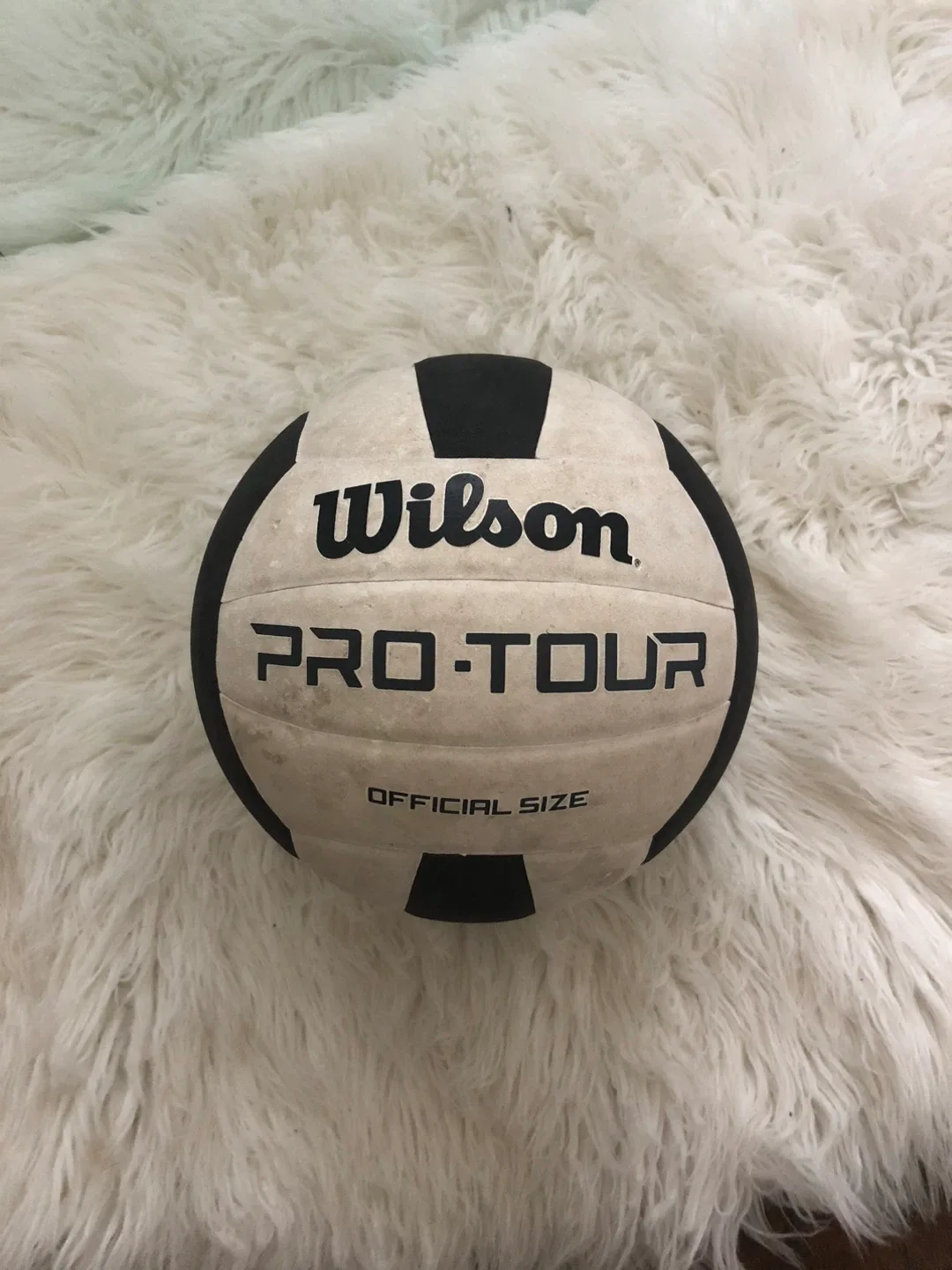 Wilson Pro Tour Volleyball - Official Size thumbnail