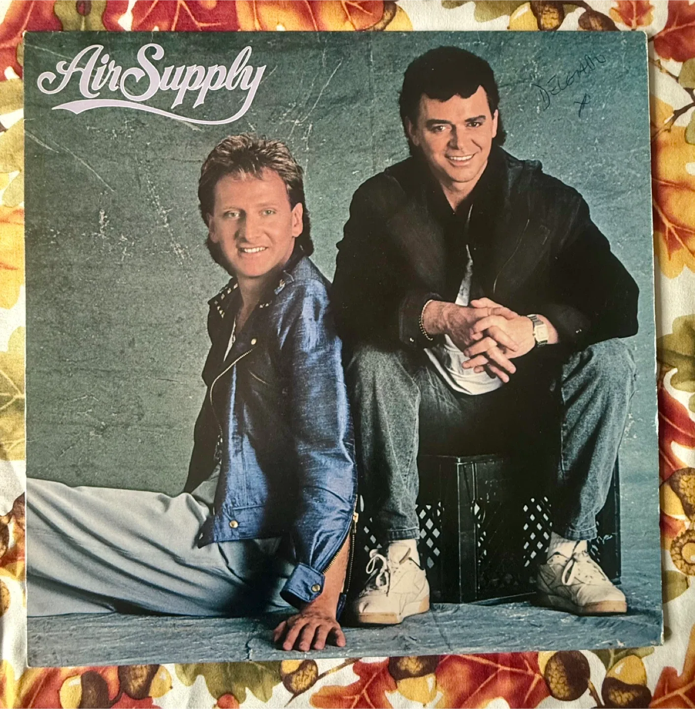 Air Supply Vinyl Records image indicator(3)