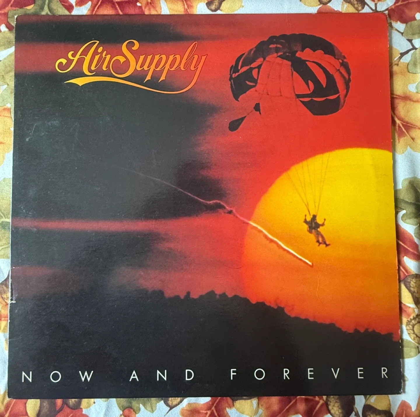 Air Supply Vinyl Records image indicator(2)
