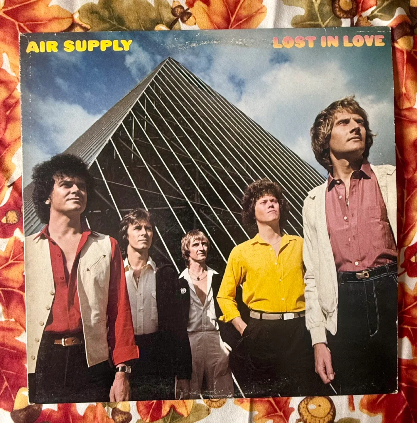Air Supply Vinyl Records image indicator(6)